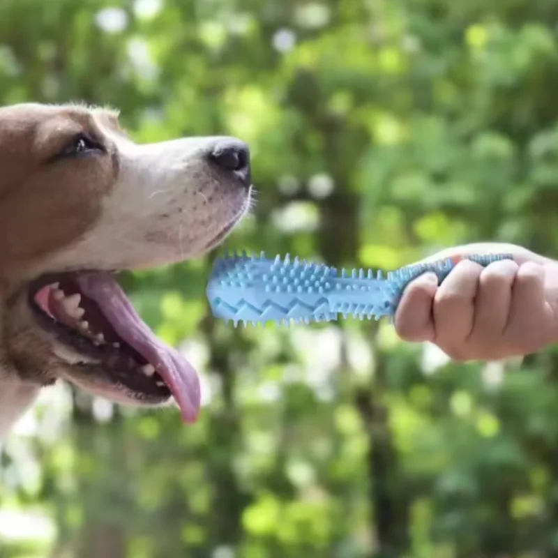 Dog Chew Stick Toy – Bite-Resistant Teething & Treat Toy