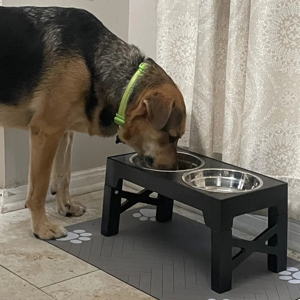 Elevated Dog Feeder Bowls