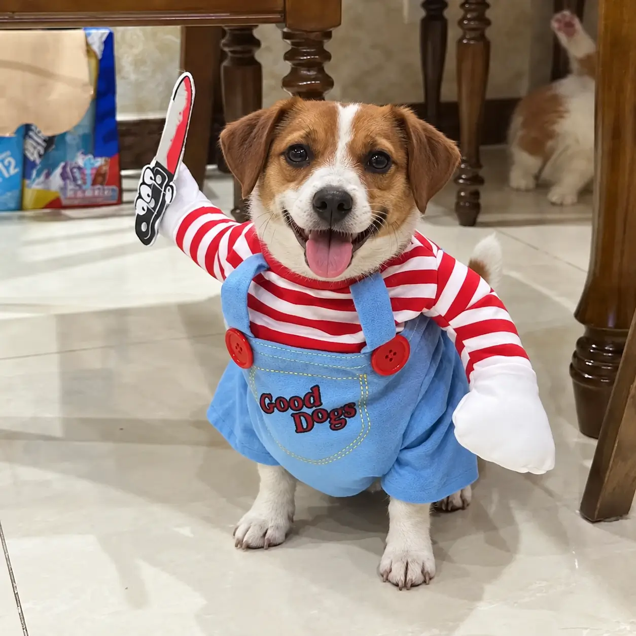 Funny Halloween Costume for Cats & Dogs - Pet Cosplay Outfit