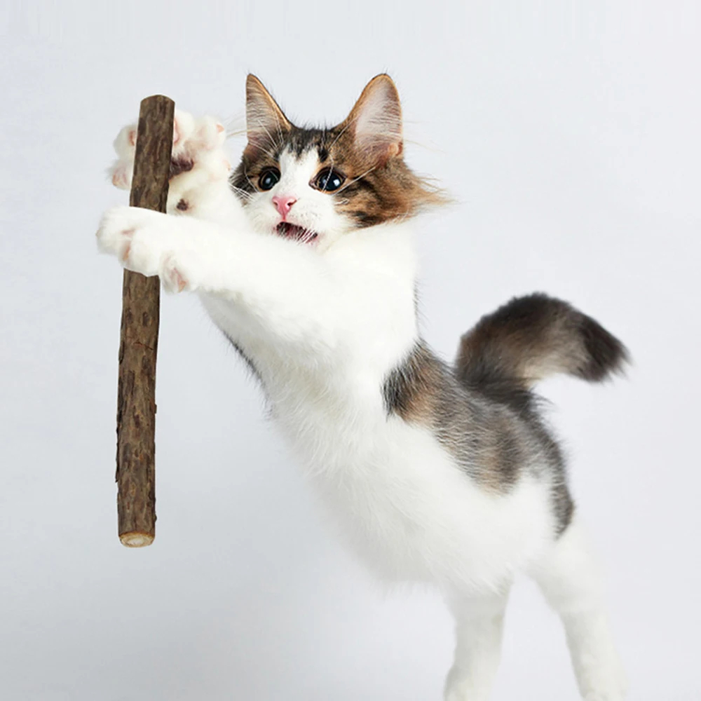 Natural Silvervine (Matatabi) Chew Sticks for Cats
