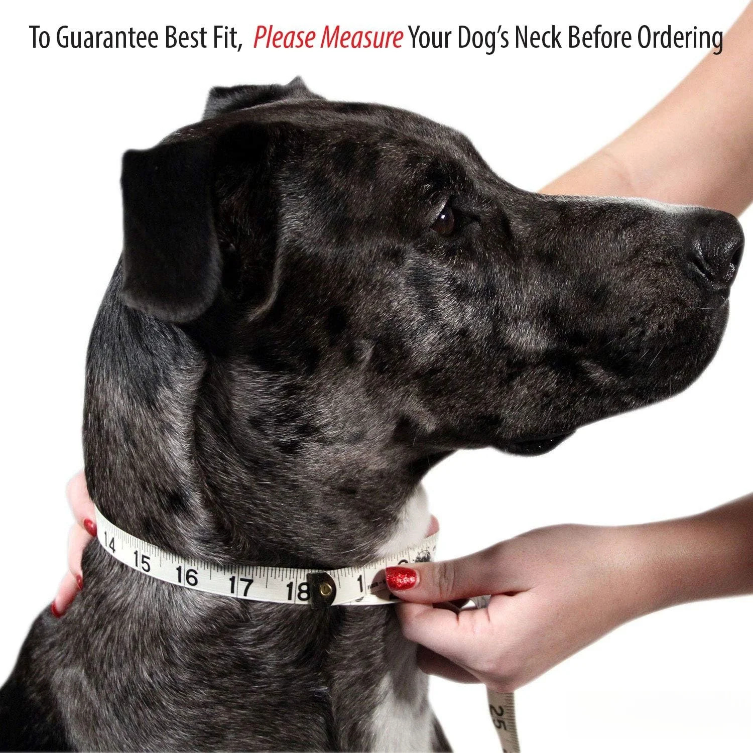 Personalized Pet Collar with Engraved Name Tag - Adjustable PU Leather Collar for Dogs & Cats