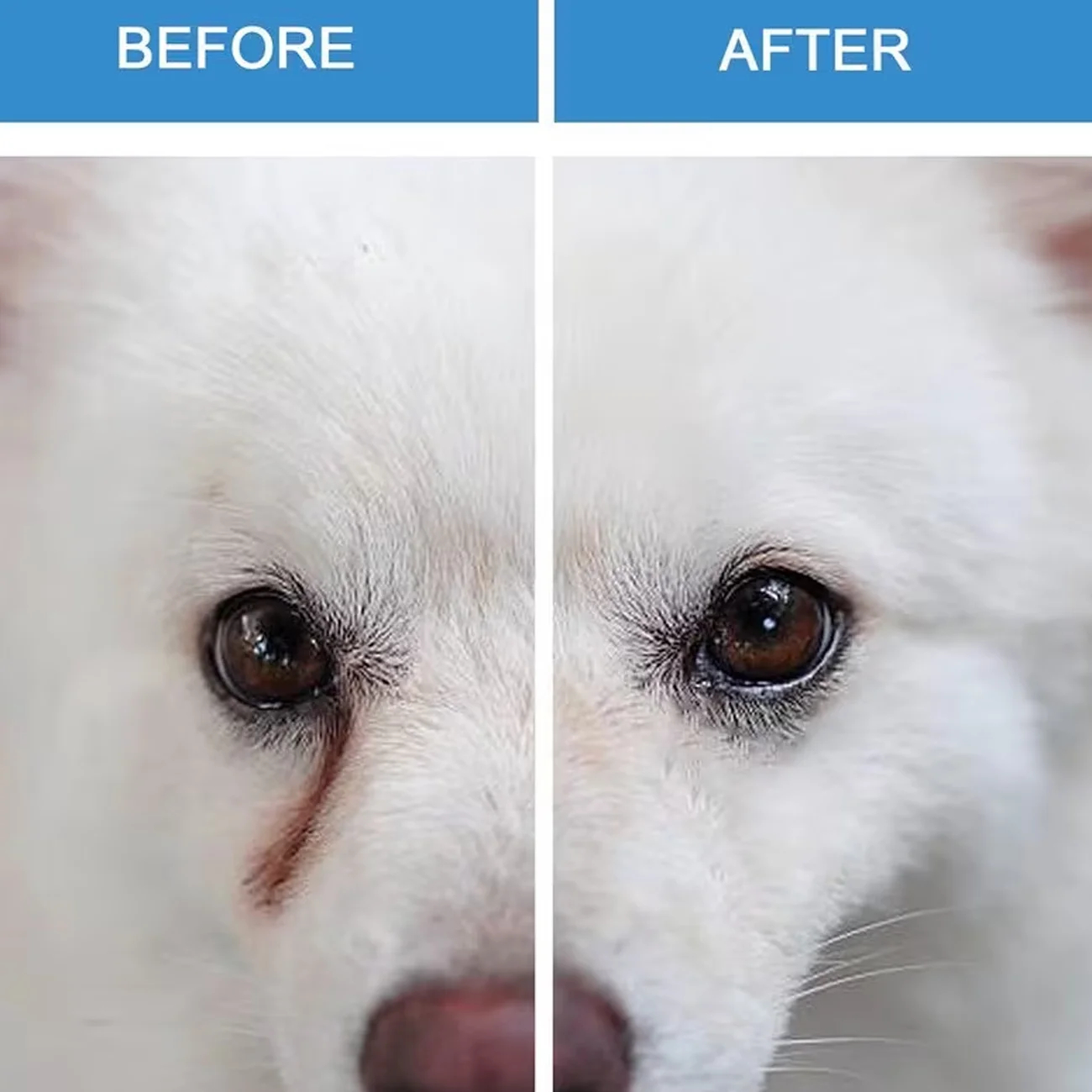 Pet Eye Cleaning Wipes for Cats & Dogs - Tear Stain Remover