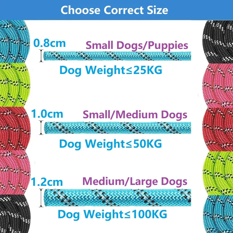 Strong Nylon Dog Leash with Padded Handle & Reflective Stripes
