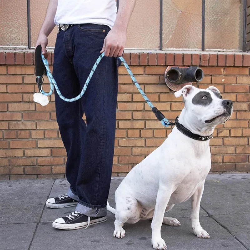 Strong Nylon Dog Leash with Padded Handle & Reflective Stripes