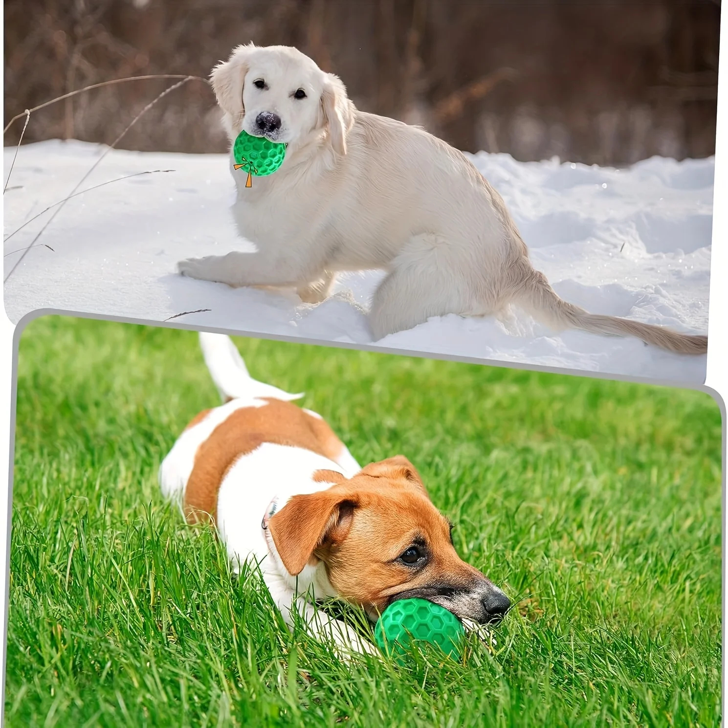 Tough Natural Rubber Dog Chew Toy - Squeaky Beef-Flavored